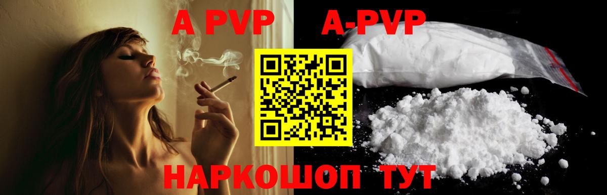 Alfa_PVP СК Минеральные Воды
