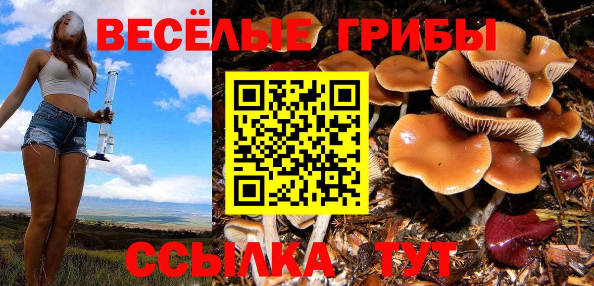 Псилоцибиновые грибы ЛСД Минеральные Воды