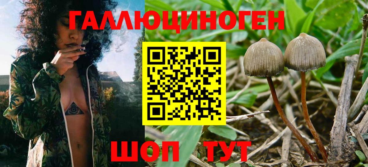 Минеральные Воды  как найти закладки  Вход с VPN  Псилоцибиновые грибы прущие грибы 